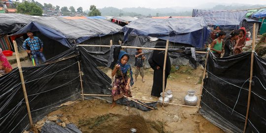 Bangladesh mengeluh hutan mereka rusak dirambah pengungsi 