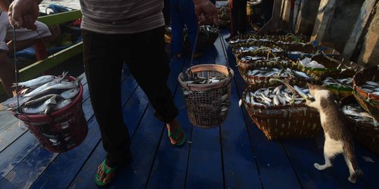 Akibat reklamasi dan limbah, tangkapan ikan di Teluk Jakarta berkurang