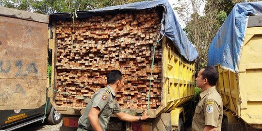 Pertama kali, Sulut ekspor kayu meranti ke Italia