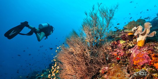 #TripLelakiMasaKini: Best Dive Spot yang Bisa Dieksplor Saat ke Maldives