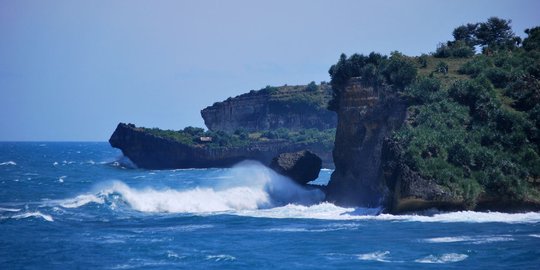 TETO nilai pemerintah belum mampu kelola kekayaan laut Indonesia