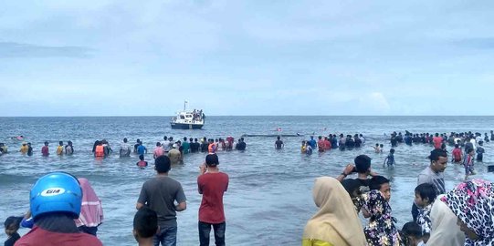 Hebohnya warga Aceh temukan 9 ekor paus terdampar di Pantai Ujung Kareng