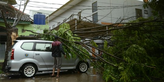 Hujan deras disertai angin, 2 mobil tertimpa pohon tumbang di Bekasi