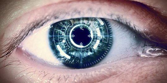 lenses