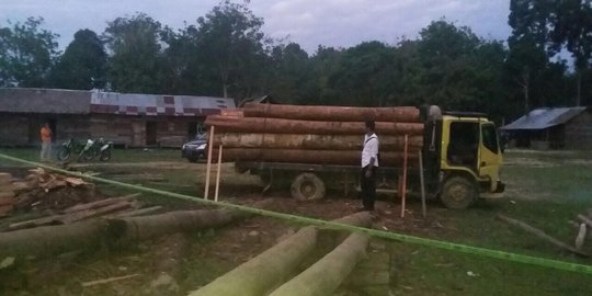 Gudang kayu ilegal di Riau digerebek polisi, 1 pelaku diamankan