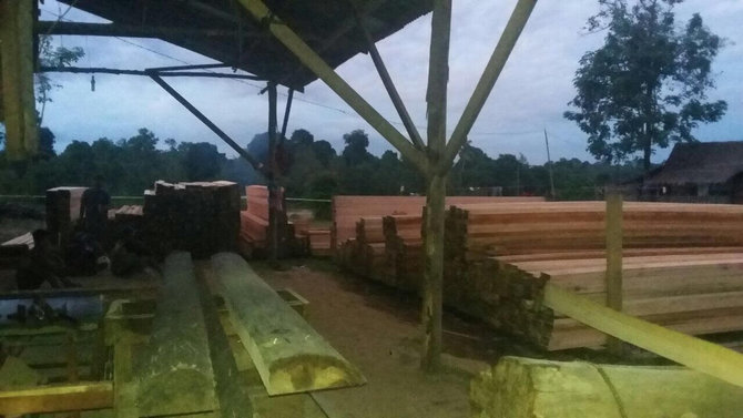 penggerebekan gudang ilegal loging di riau