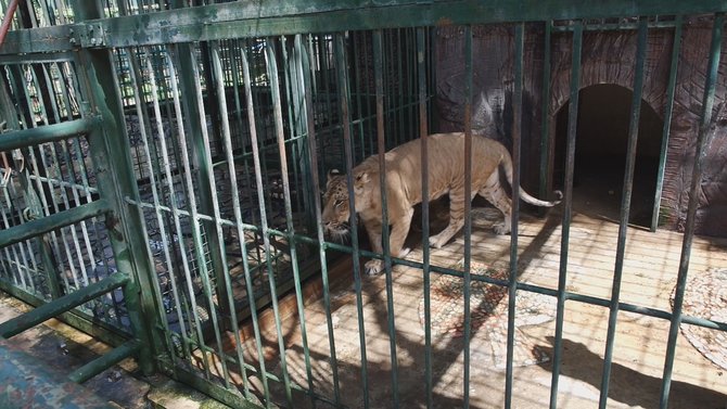 eksotisme agro wisata sido muncul