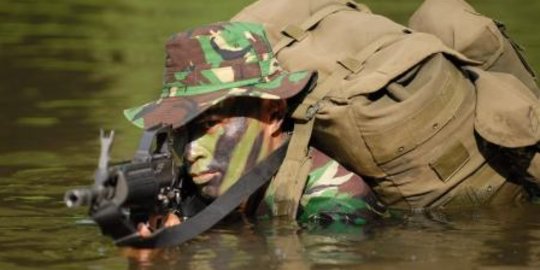 TNI AD sudah siapkan prajurit terbaik ke Papua, tunggu presiden & DPR