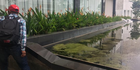 Di tengah megahnya Balai Kota Tangsel, kolam tak terurus ini merusak pemandangan