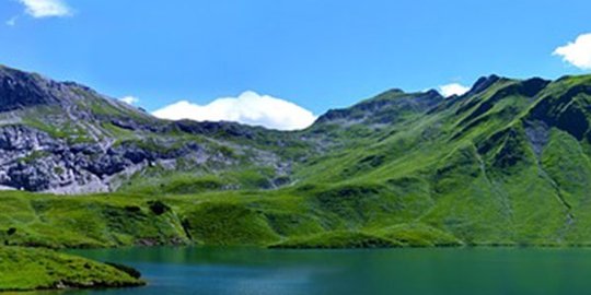 7 pekerjaan aneh yang kamu tidak akan pernah menyangka ada di dunia ini