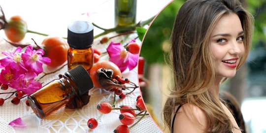 Kenalan dengan rosehip oil, rahasia kulit cantik para selebriti dunia