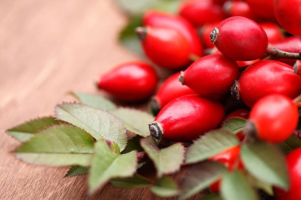 Kenalan dengan rosehip oil, rahasia kulit cantik para selebriti dunia