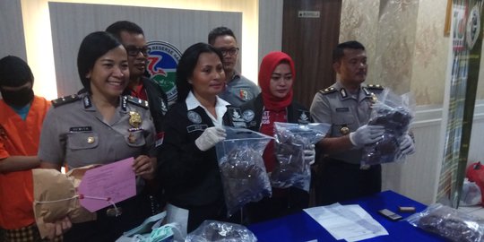 Amankan 13.310 kg ganja gorilla, polisi tangkap 3 orang bandar besar