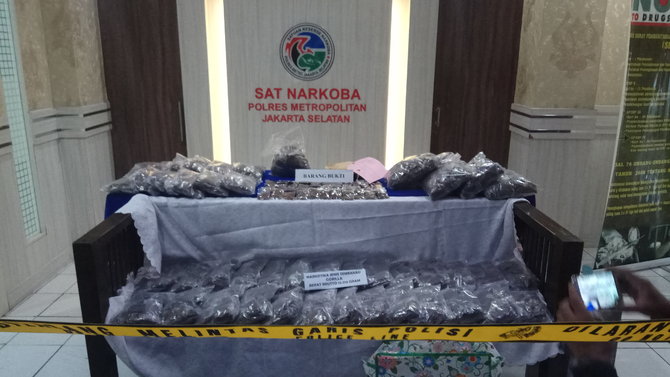 amankan 13310 kg ganja gorilla polisi tangkap 3 orang bandar besar