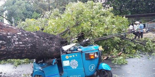 Pohon tumbang di dekat Masjid Istiqlal, satu korban patah tulang