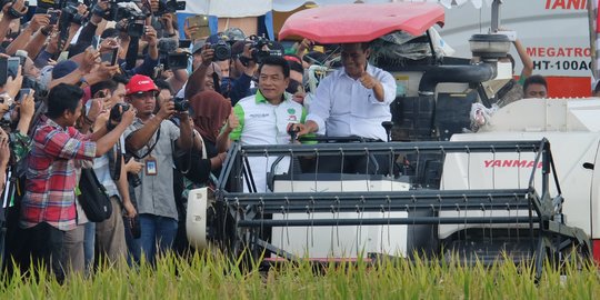 Gaya Menteri Amran saat panen padi di Indramayu