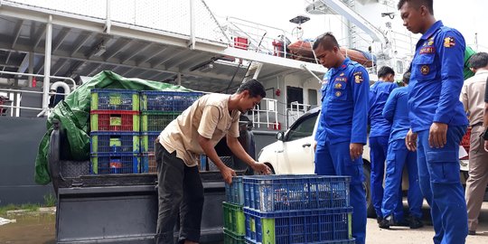 Polisi gagalkan penyelundupan ribuan kepiting tujuan Malaysia