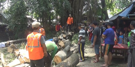 Tertimpa ranting pohon beringin keramat, 8 warga dilarikan ke rumah sakit