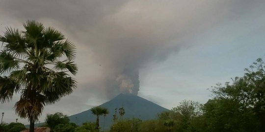 Warga terdampak erupsi Gunung Agung sulit mengungsi karena hewan ternak