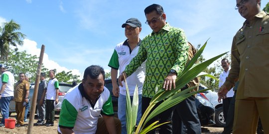 Ketua HKTI: Indonesia akan salip India jadi penghasil kelapa terbesar dunia