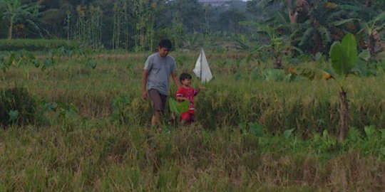 Ini tiga cara tingkatkan kesejahteraan petani & wujudkan swasembada pangan RI