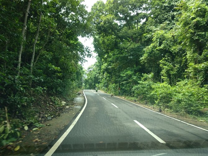 akses jalan menuju gapang resort