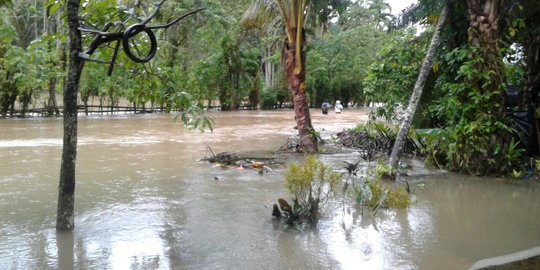 Dilanda banjir, akses desa di Batangkapas Pesisir Selatan nyaris putus