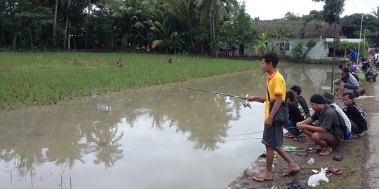 Paska banjir, warga Bantul panen ikan
