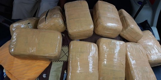 2 Mahasiswi nekat bawa 10 Kg ganja dari Aceh ke Pekanbaru