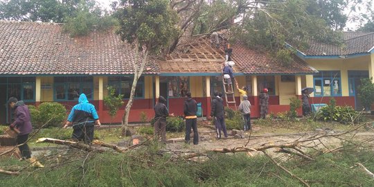 2 Pohon beringin tua timpa SD, pelajar berhamburan keluar kelas