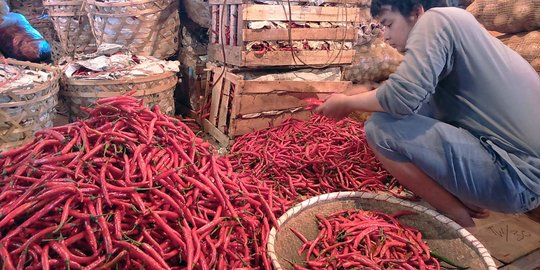 Jalan Sumbar-Jambi masih terputus, harga cabai naik drastis