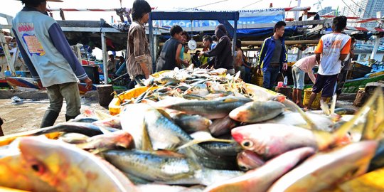 Cara unik Perinus genjot konsumsi ikan, hingga masuk rekor MURI