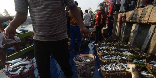 Bupati harap kehadiran SKPT wujudkan Natuna jadi pusat perikanan nasional