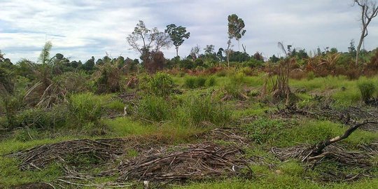 DKI bisa ambil alih Cengkareng asal proses hukum sudah benar-benar clear
