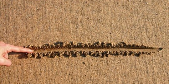 batasan bagi kedua belah pihak rev2