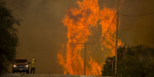 Saat kemarahan alam tak terbendung melahap isi lahan California