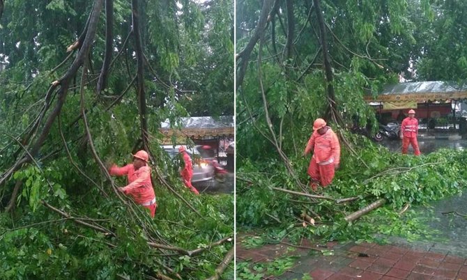 pohon tumbang di jalan pejompongan