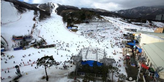 Ini tempat  tempat  liburan musim  dingin  di  Korea  Selatan  