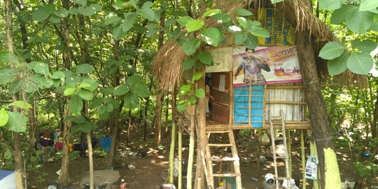 Keluarga di Karanganyar ini tinggal di rumah pohon hutan jati