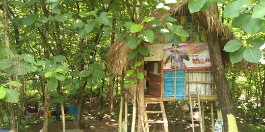 Pemkab Karanganyar bujuk Budiyanto agar mau dipindah dari rumah pohon