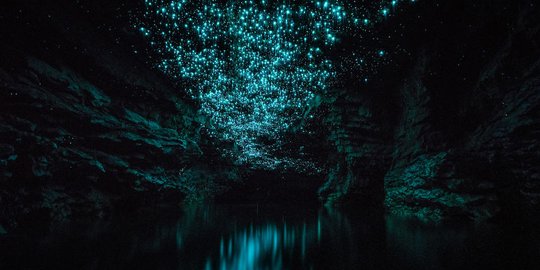 Menikmati keindahan lautan bintang di bawah tanah Selandia Baru dari balik lensa