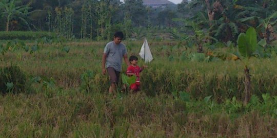 Petani gagal panen akibat banjir, harga beras diprediksi terus naik