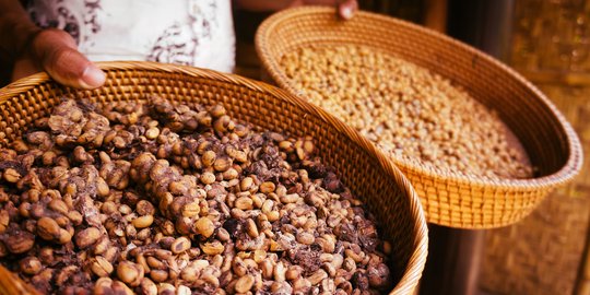 Surga kopi Indonesia, dari yang khas sampai yang termahal juga ada