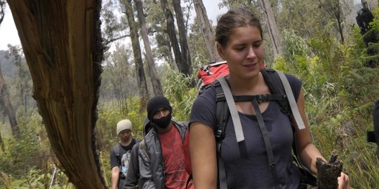 Pulihkan ekosistem Gunung Semeru, pendakian ditutup selama 3 bulan