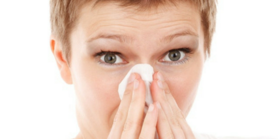 hidung