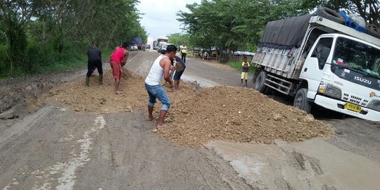 Protes Tak Kunjung Diperbaiki Warga Riau Tanam Pohon Pisang Di Tengah