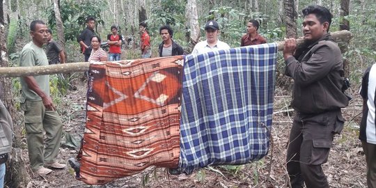 Hendak panen sawit, warga Pelalawan Riau kaget lihat mayat pria