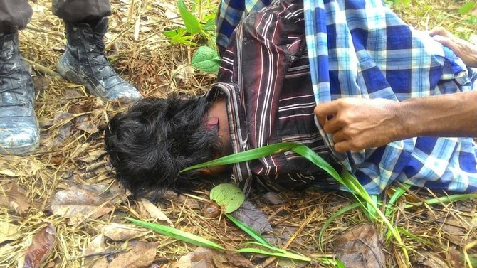 mayat pria ditemukan di perkebunan warga pelalawan riau