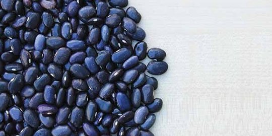 10 makanan ini mengandung protein lebih banyak daripada telur