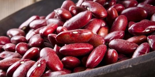 10 makanan ini mengandung protein lebih banyak daripada telur